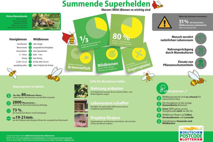 1.Weltbienentag: Rettet die summenden Superhelden