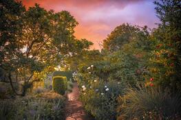 IGPOTY(International Garden Photographer of the Year)  – Wenn Natur zu Kunst wird